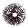 Koop B+ Psilocybe Cubensis Spore Print Online