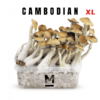 Magic Mushroom Grow Kit Cambodia XL fra Mondo®.