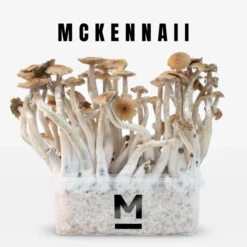 Magic Mushroom Grow Kit McKennaii fra Mondo®.