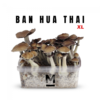 Magic Mushroom Grow Kit Thai fra Mondo®.