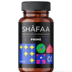 Shafaa Evolve Magic Mushroom Microdosing Prime-kapsler